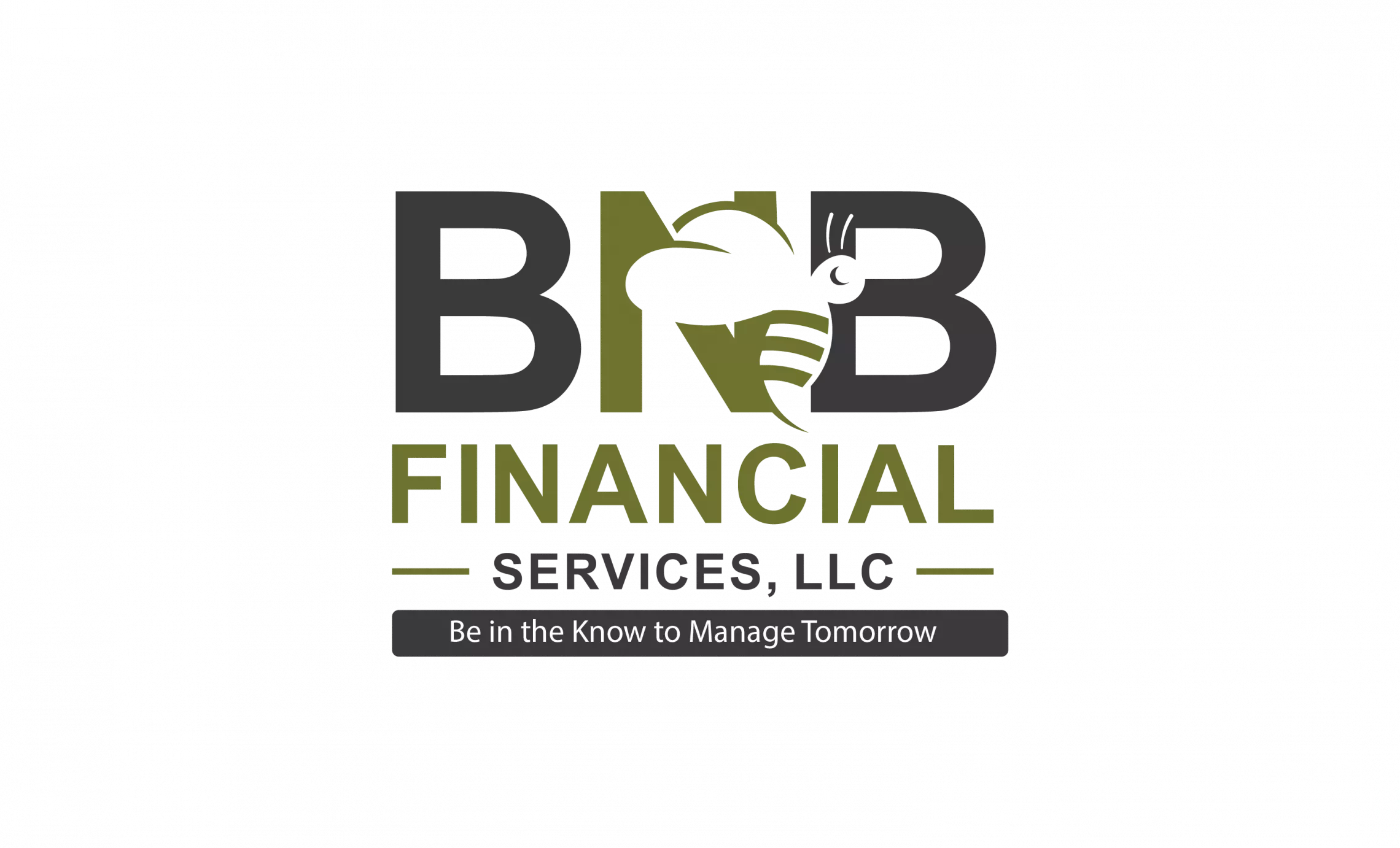 BNB Financial Logo