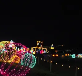 Willow Hill Lights Show