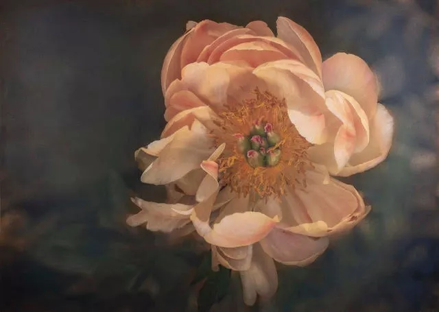 Jamie Buzil  September Artist