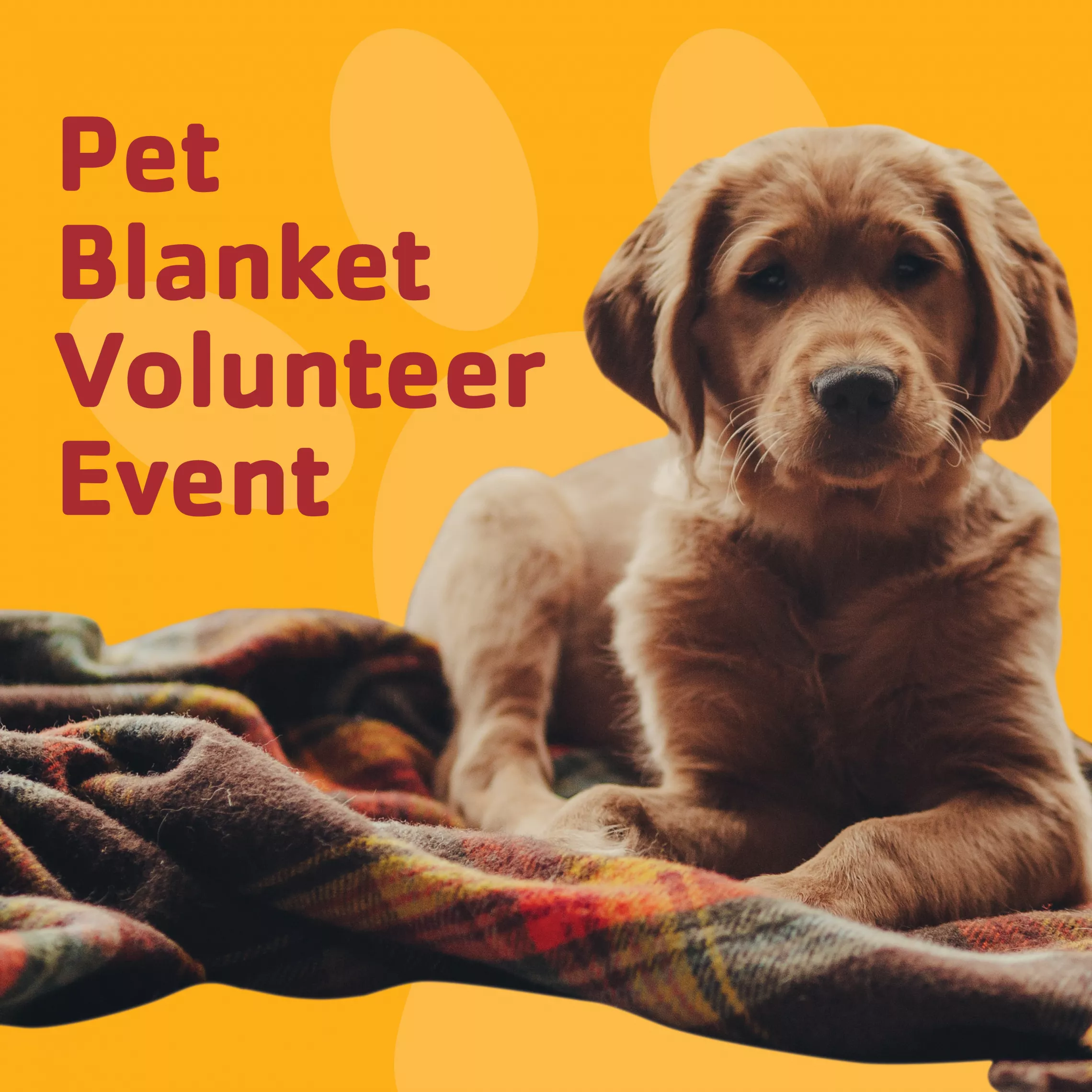 23 Pet Blanket Event