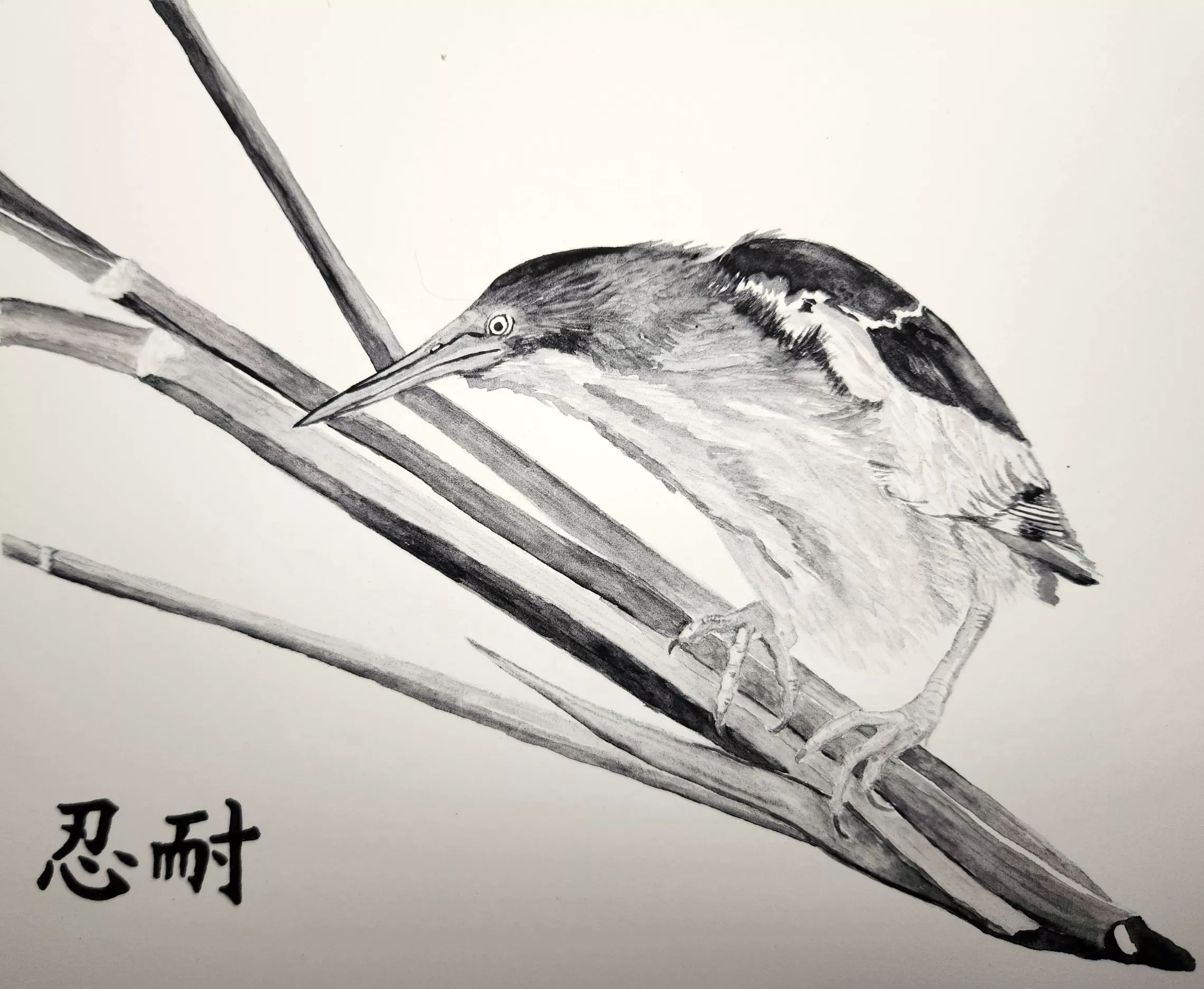 Community Art Gallery - April Artist