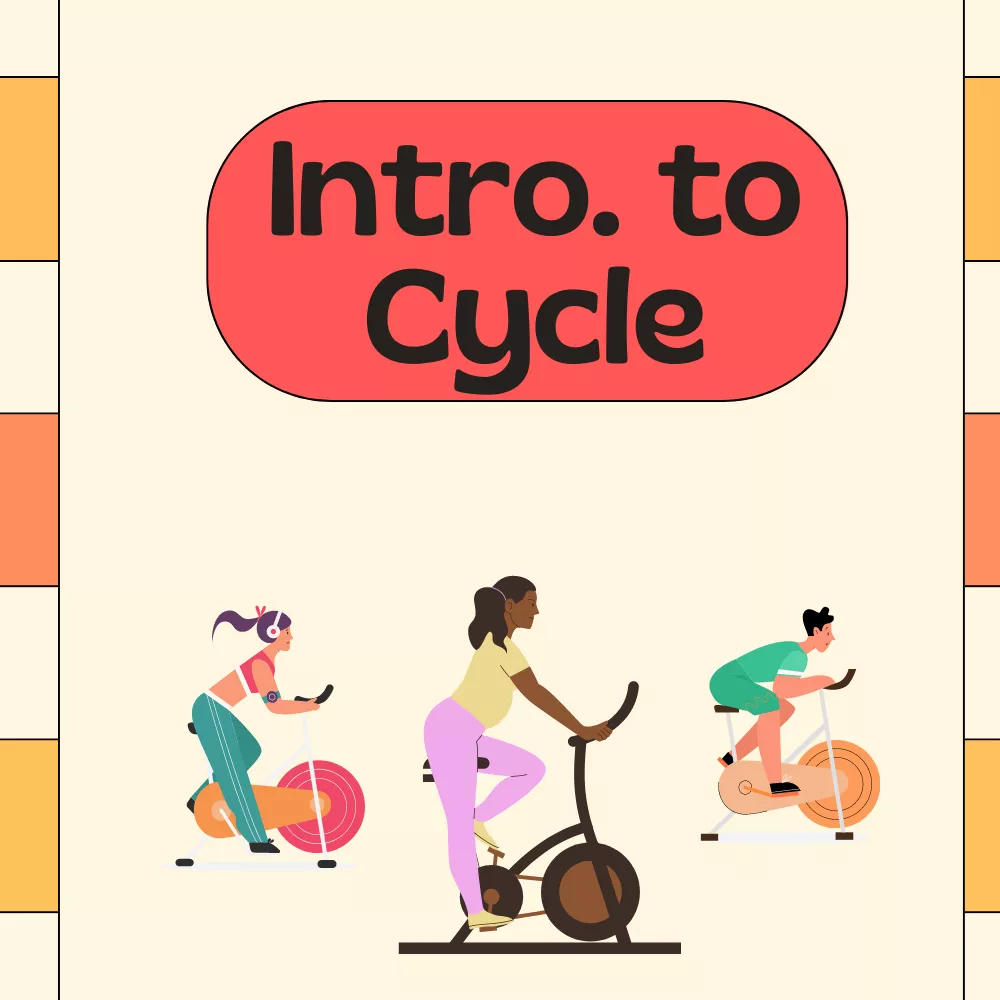 Cycle