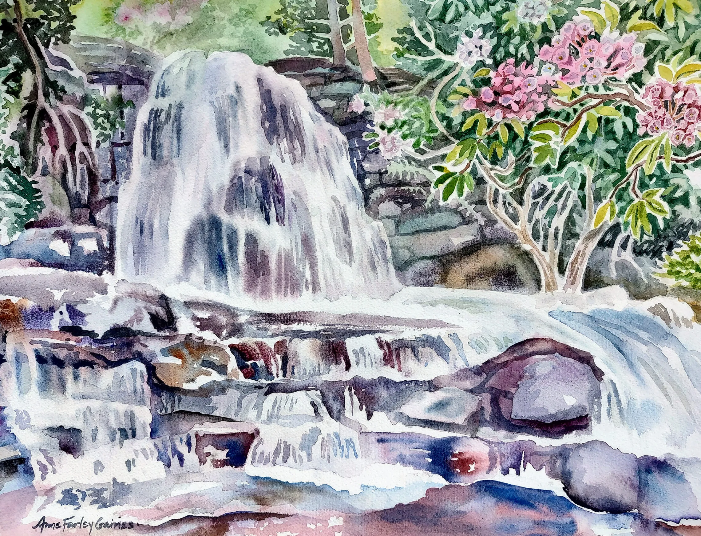 Anne Farley Gaines North Suburban YMCA anne-farley-gaines-north-suburban-ymca