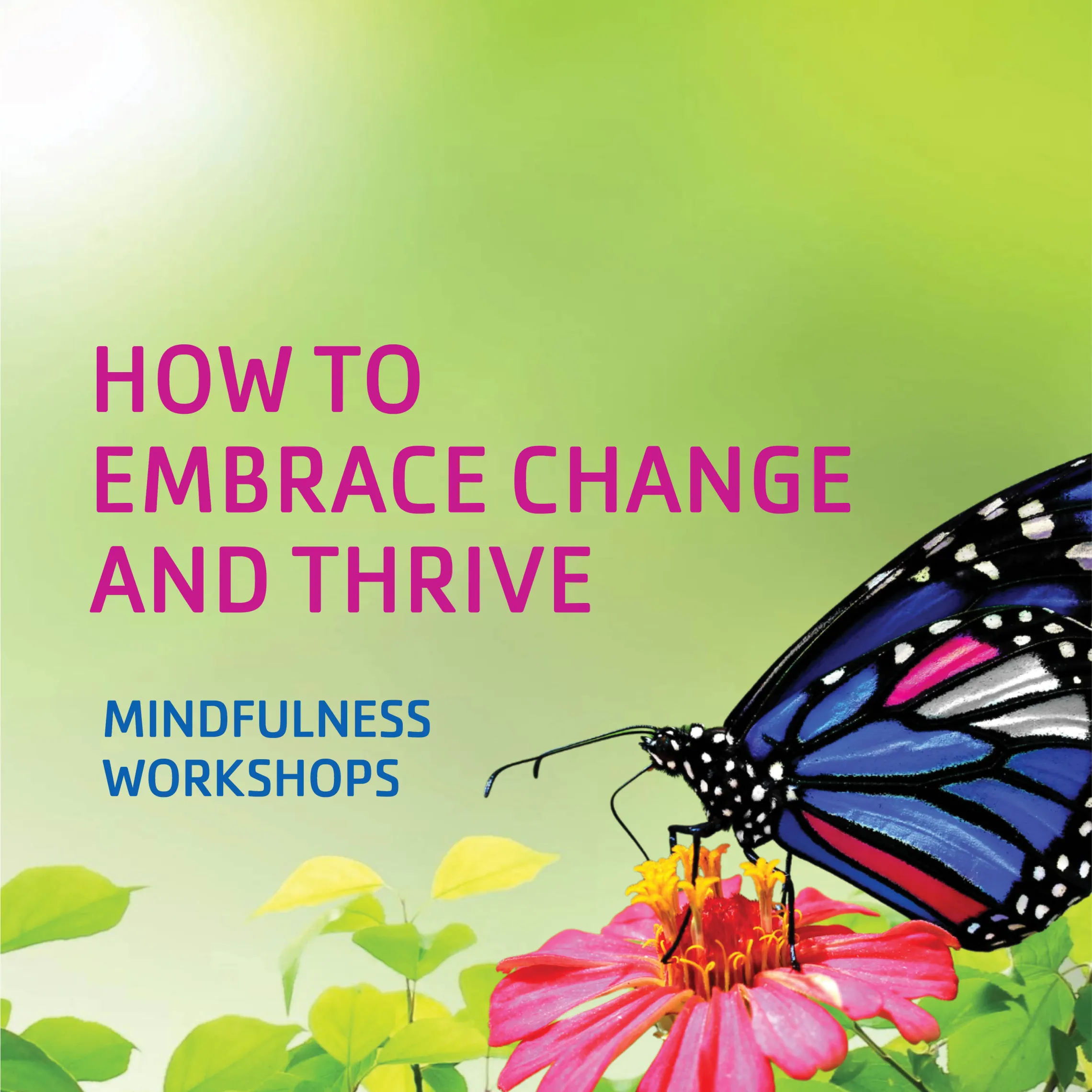 how to embrace Change