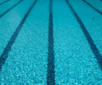 Swim Team